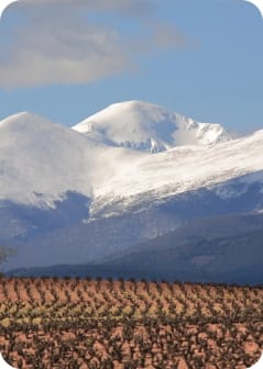 f466aee3-290e-e7f2-18c2-f104e21d0525