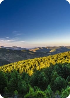 parque-natural-sierra-cebollera