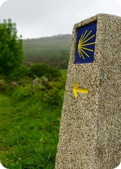 pexels-gyozo-morocz-517633466-30582533 (1)